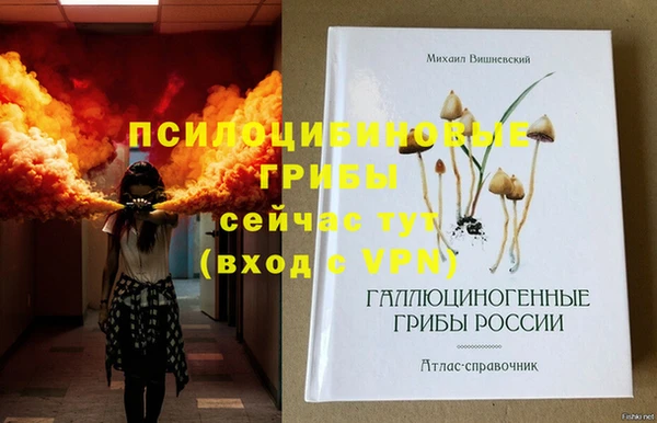 spice Мегион