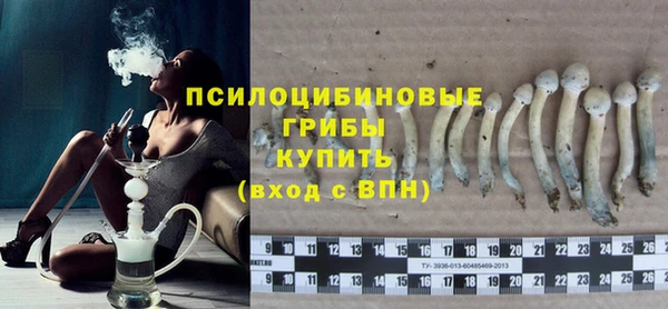 мдпв Сясьстрой