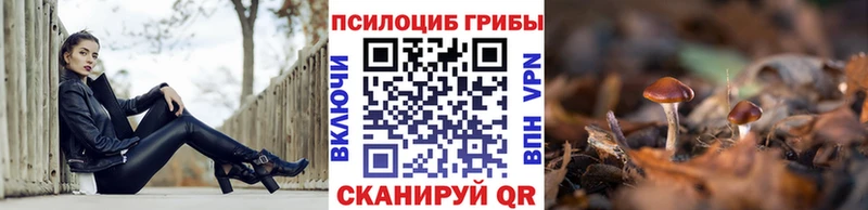 Псилоцибиновые грибы Psilocybe  Невьянск 
